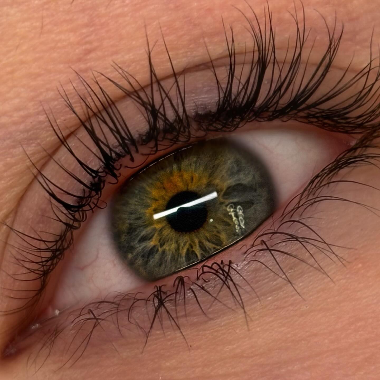 Lash Lift